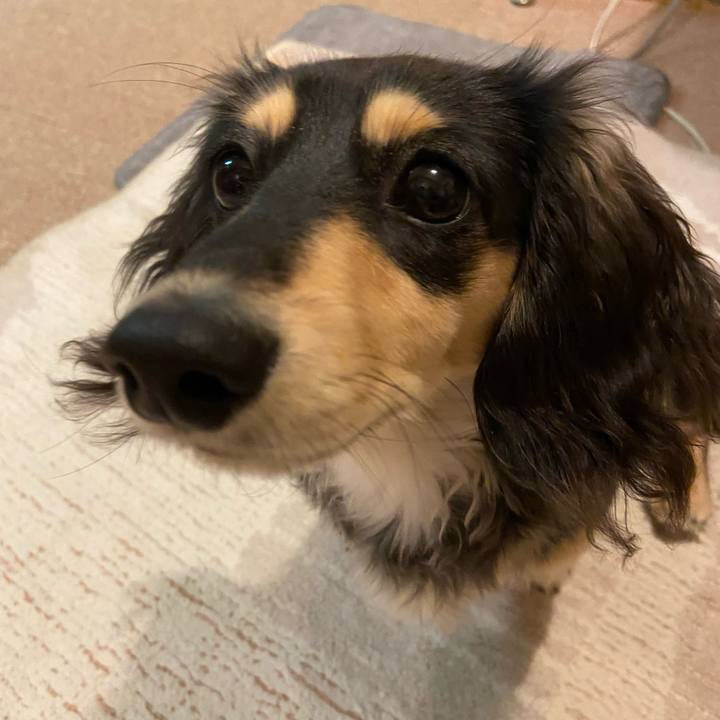 Be0cf663 8960 4a4b 9378 1f25785b7300 1677667239669