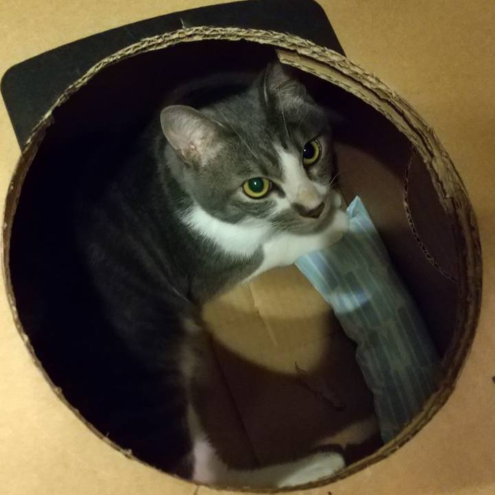 Be0cfed9 a494 495f ac8d 6cae3bb588e9 1597143108645