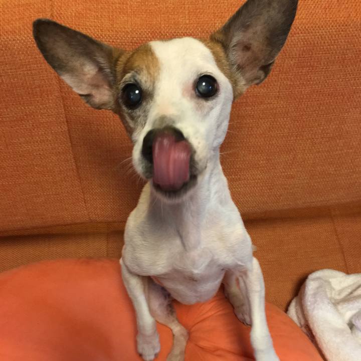 Be0d04e1 7cba 4bd8 953c 209394379731 1590821188041