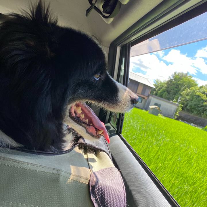 Be0d0563 55d9 459d 8ae4 073e78ea54cb 1659921211305