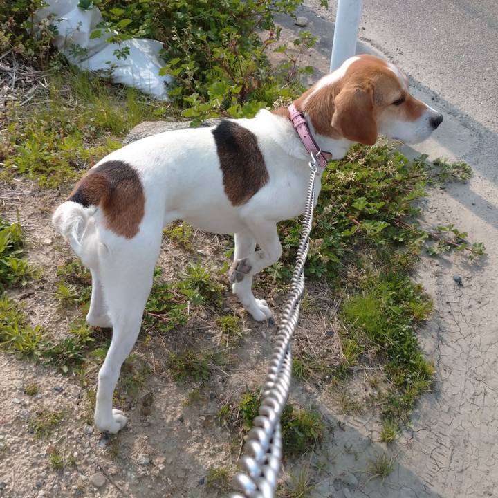 Be0d3b57 d8d0 46b5 881e d92b54349571 1587018720201