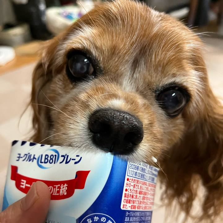 Be0d619a 642d 461b 9f51 4980ff867368 1760483496438