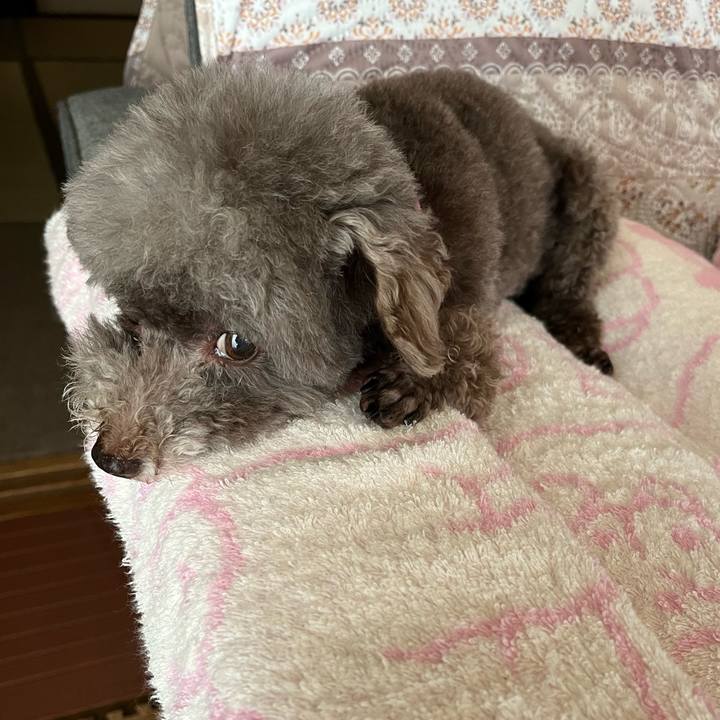 Be0d6996 9868 4783 b03f 8df8004eb161 1751162347748