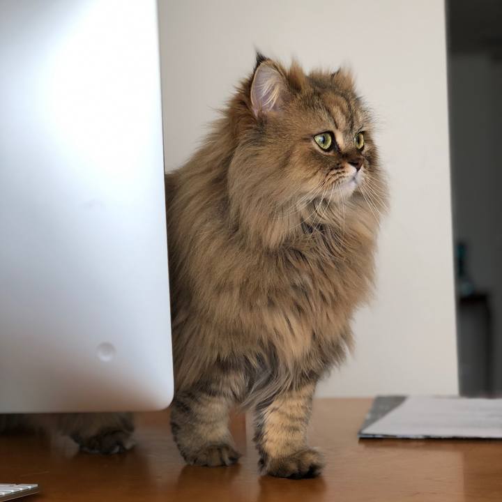 Be0d7d4e 46cb 4aaf 8fe9 ad29485f5d38 1522821860164