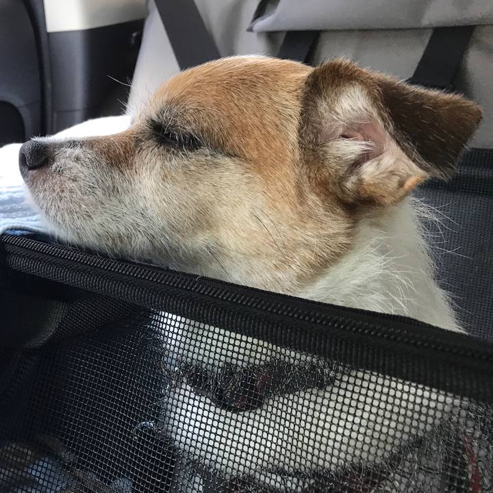 Be0d8b52 2617 4c96 8f65 51b1b5cb50a9 1597206356605