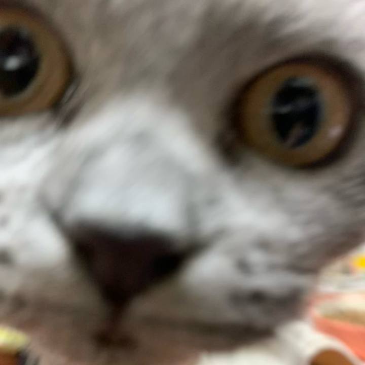 Be0da991 34a3 4f08 9c5b 8e9ebe8c35a6 1668421824049