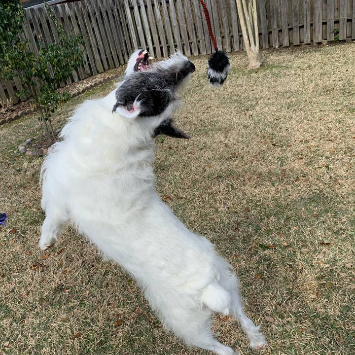 Be0de960 741f 4d48 9410 45bf2c41570d 1613688565900