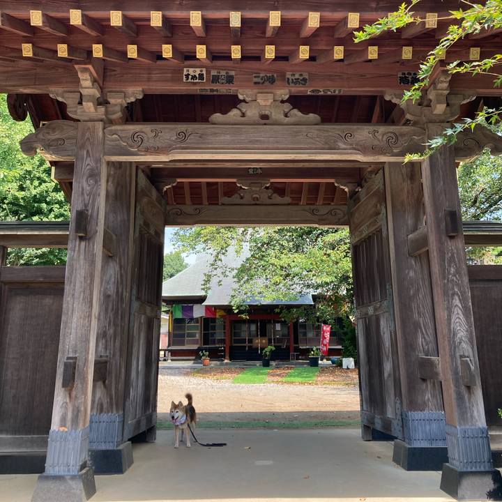 Be0e07ba aca3 4af8 be75 3dd7d0e5a52e 1756092353225