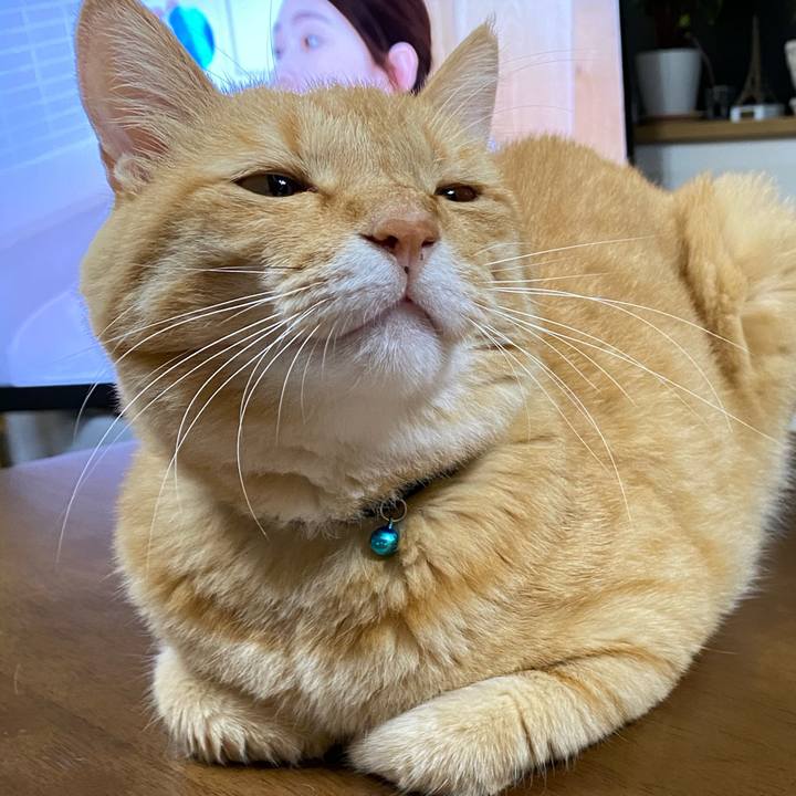 Be0e4576 cb14 4a1b 9be8 6ffa24ffdae2 1598787323422