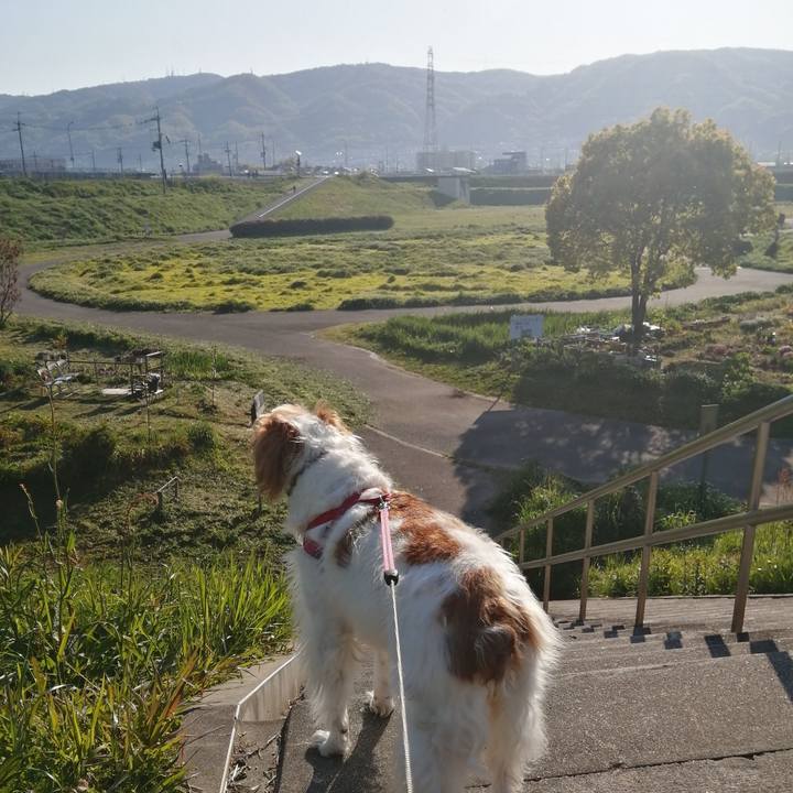 Be0e570a 1779 4930 a116 90d4f609d73c 1587864979690