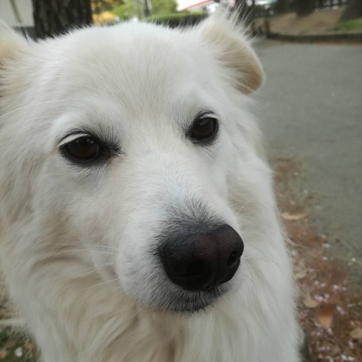 Be0e7b2f 3fb0 480f ac24 75dcd998abd4 1523520697027