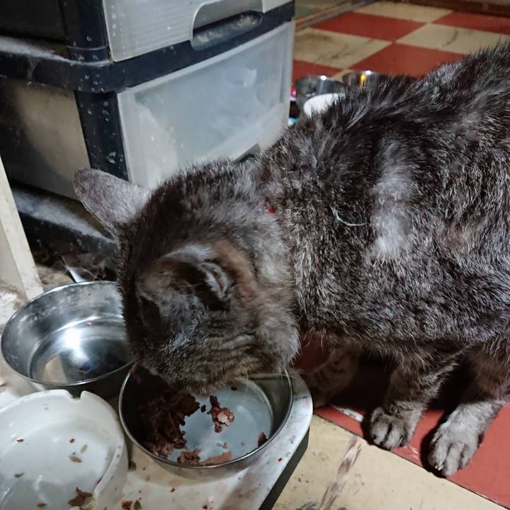 Be0eb3f5 694a 4bb4 9fe1 414106492078 1596022323545