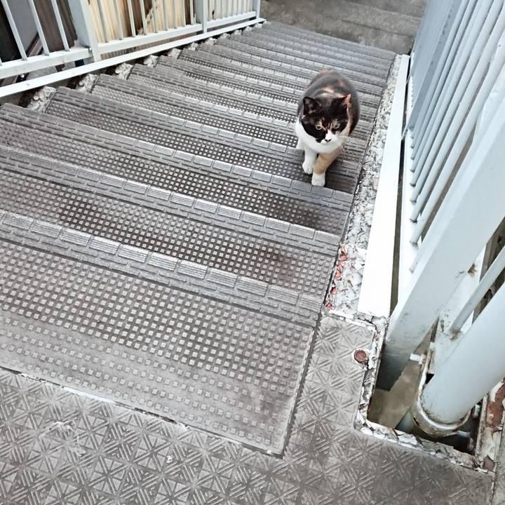 Be0ec21d 3917 42b0 b29f 26a7dcaf9e0f 1668137029169