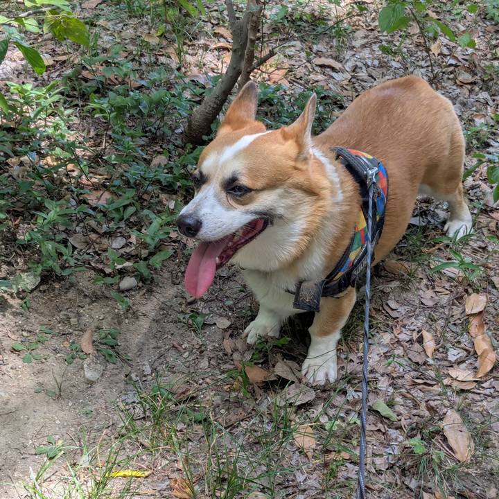 Be0efec9 100b 451e 8972 758a80b13909 1754619262221