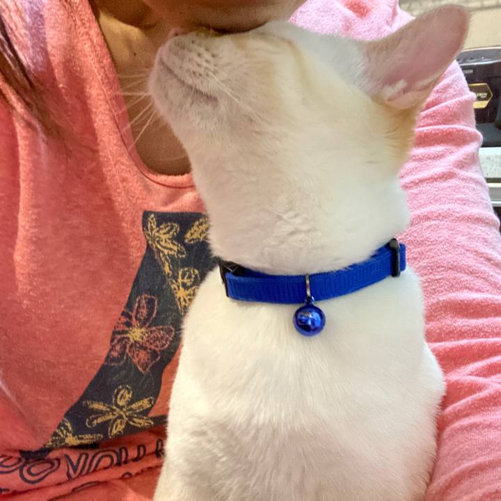 Be0f187b a83c 4c92 bba1 7884067b765f 1587288875509