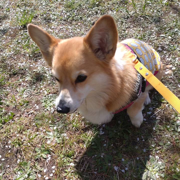 Be0f1ddc c0dd 4b24 90c5 646d87b93a2d 1650204425956