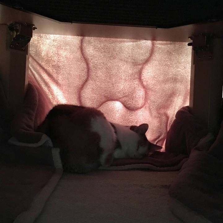 Be0f2a68 e07c 43f6 b870 303e6f83dff0 1547028863123