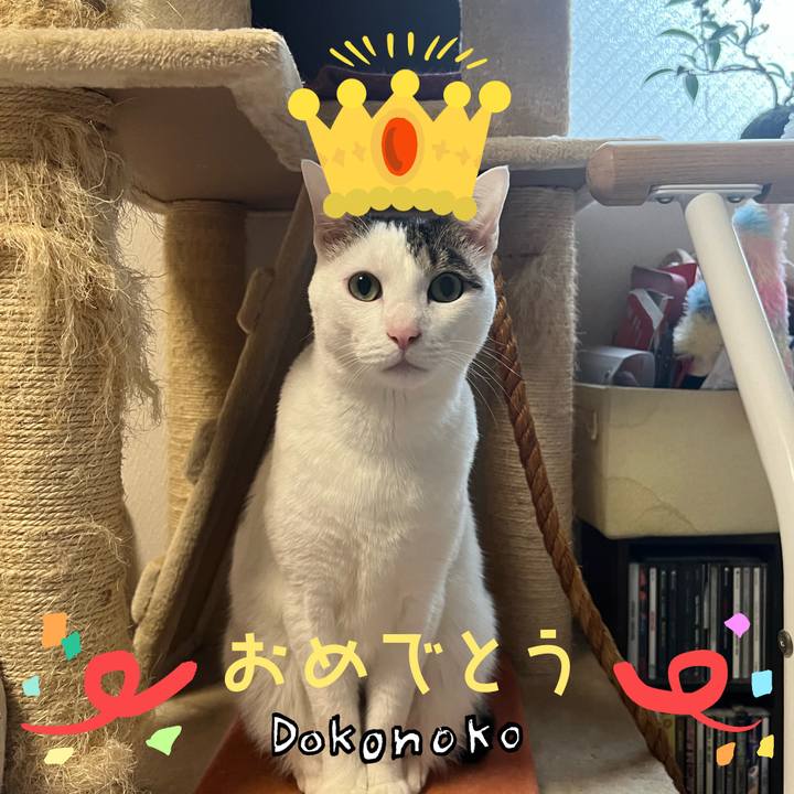 Be0f2e06 eceb 43fa b032 a4626bdedff0 1685971963332