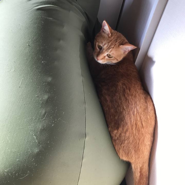 Be0f30f6 5505 4bc9 b32b a0c9672a3b38 1523054311999