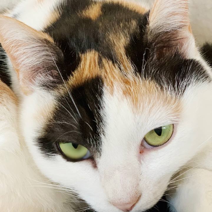 Be0f34a1 7ceb 4b6a b118 9b2eee29dce7 1552701295329