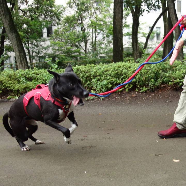 Be0f8ff5 34fa 4b1e 8667 5f60b3928eee 1594164373222