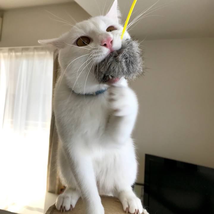 Be0f914a ce64 4fd4 a56b 754681fd8f32 1581766099981