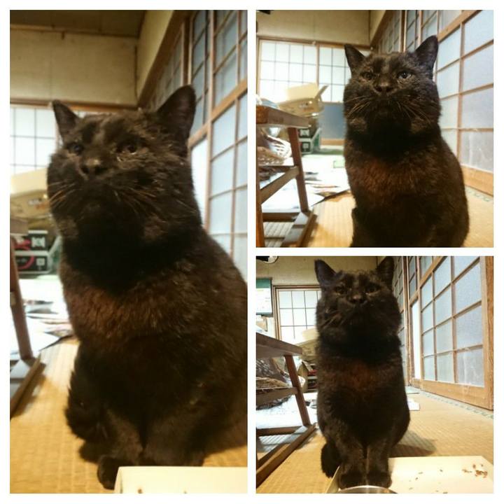 Be0fc132 9d4d 4228 b702 6c964e3095d8 1617619198670