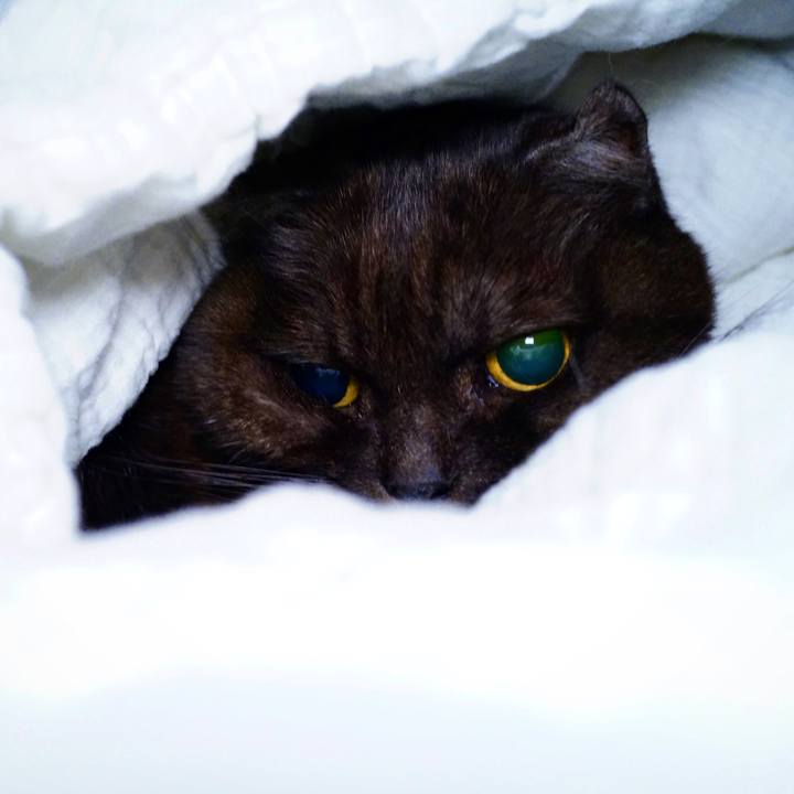 Be0fd293 edfc 4c71 9fcf b487eecd733f 1643728717236