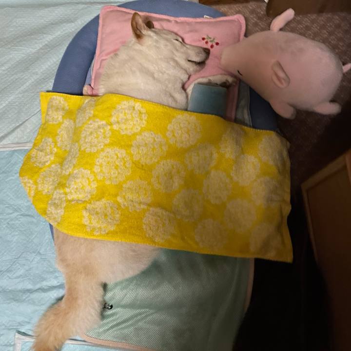 Be0fdf41 47c7 4ada a3b4 30dd1f11fa27 1634262513421