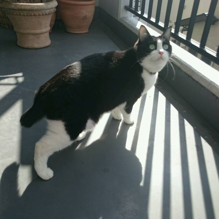 Be0fe0f1 6bee 403d 8539 a5a902779e59 1510800043553