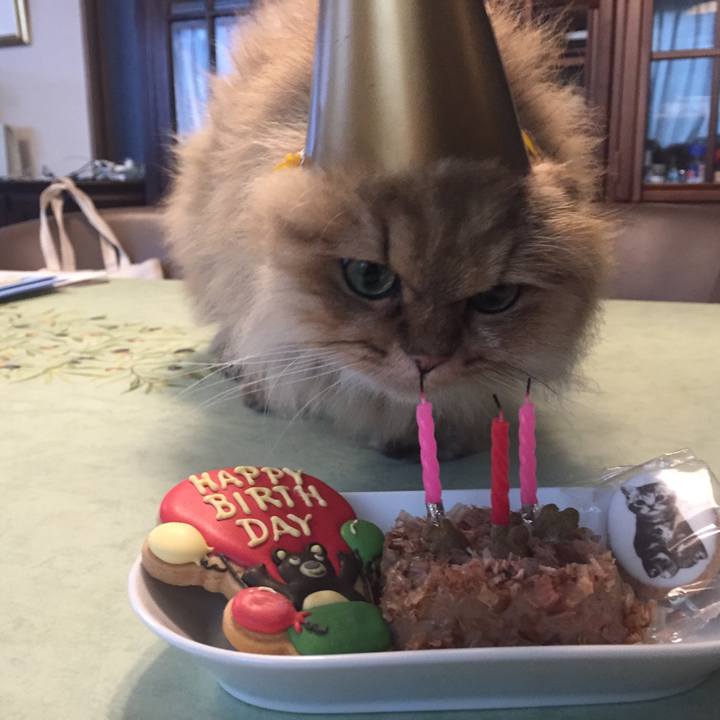 Be101f6b 3361 4285 bf2f 9dbe65e40f4f 1540623838296