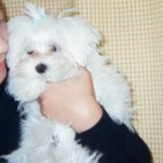 Be102ddd 262b 4fa3 9078 1873ffc68fa6 1718992108963