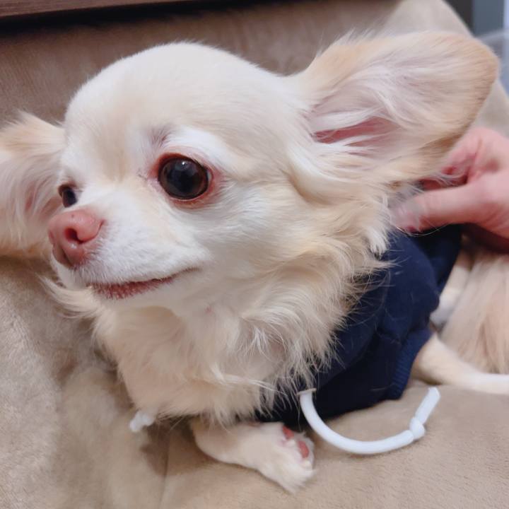 Be10b2ab 7058 44f5 9d2a 222cead153a5 1766322194686