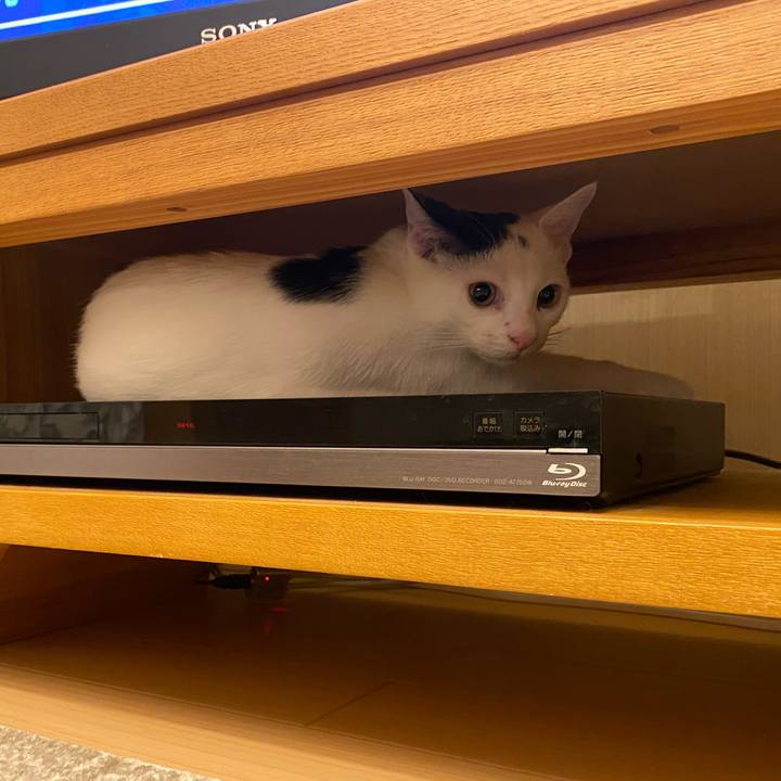 Be115f80 062f 4f3e 8f8e 588309653746 1667828243029