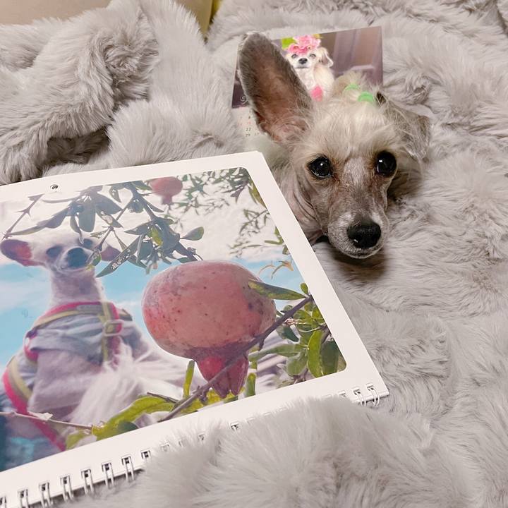 Be11731c b28e 4953 ac1e 352301c7dc0b 1756704259775