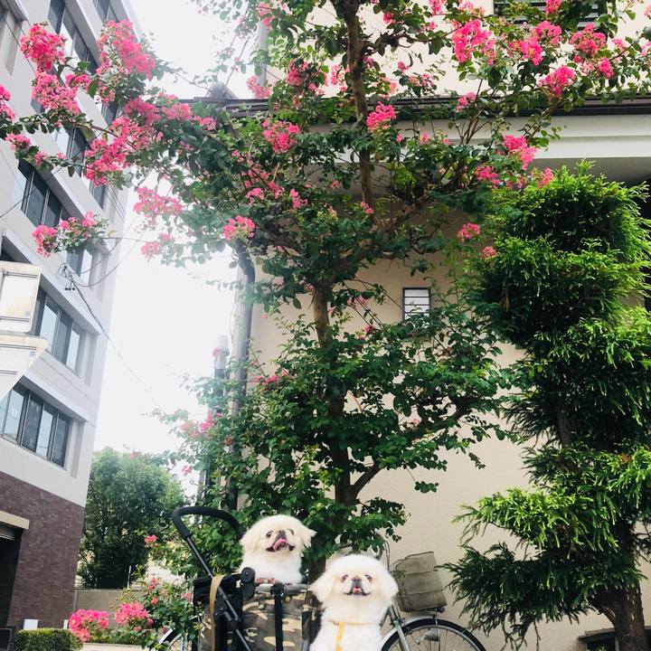 Be1178e7 36d2 4244 83cf b71e2825b469 1598585102909