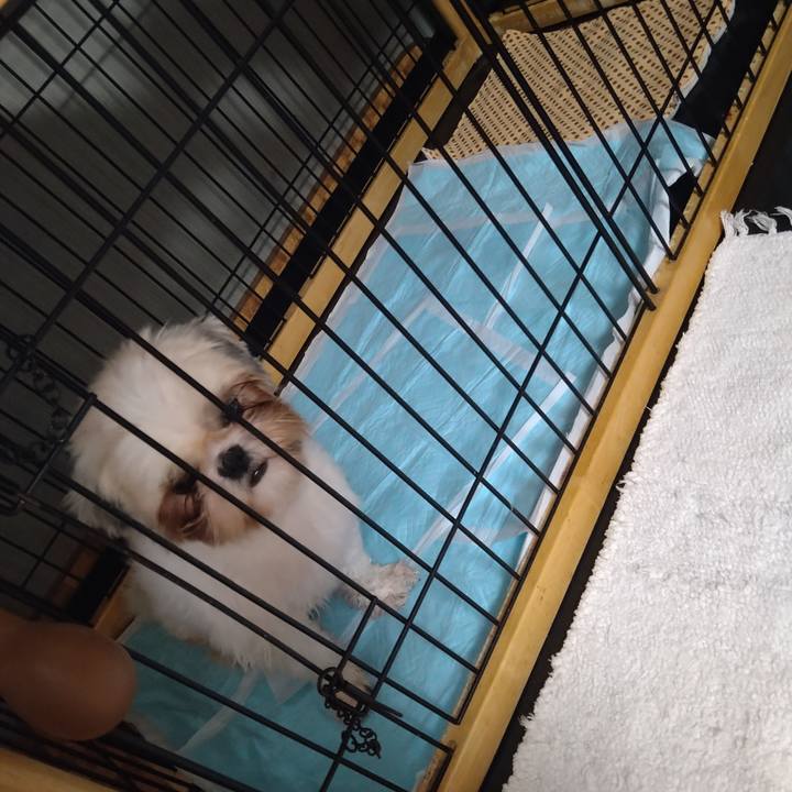 Be117d63 bbf2 475b 9bca fdbf4655ac6b 1600938746661