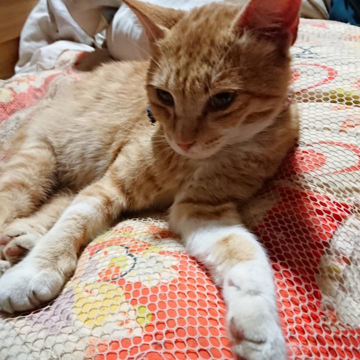 Be11968a 492b 4f6b be96 805fe16a62fc 1560862679149