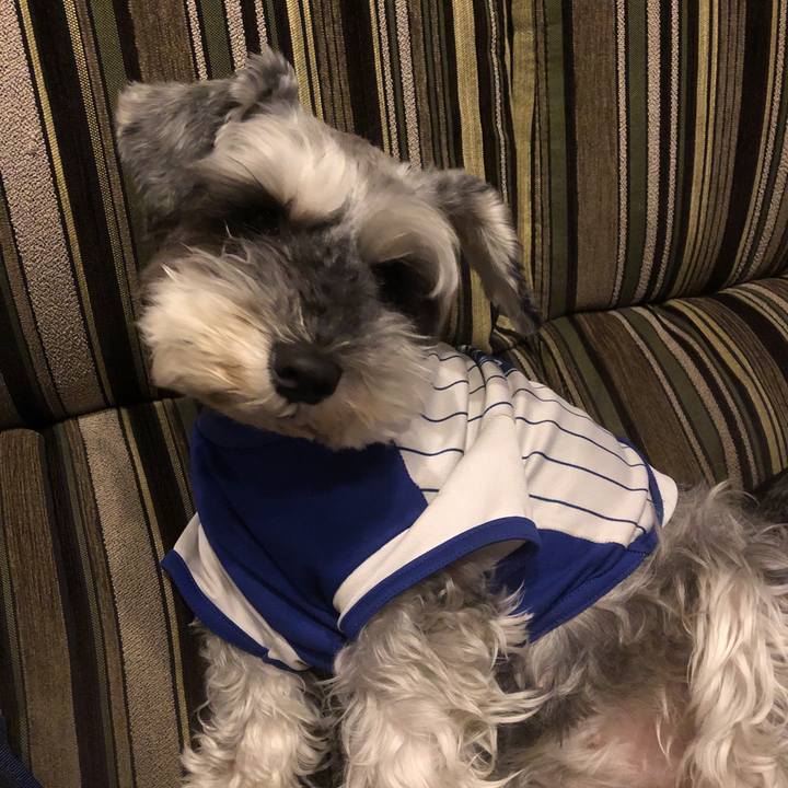 Be11969f f25a 4caf ae77 e2ccbacdb02d 1560250437212