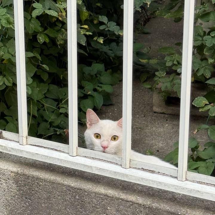 Be12029d 0b5a 4861 a2b9 2db7ffacbc2a 1755812785958