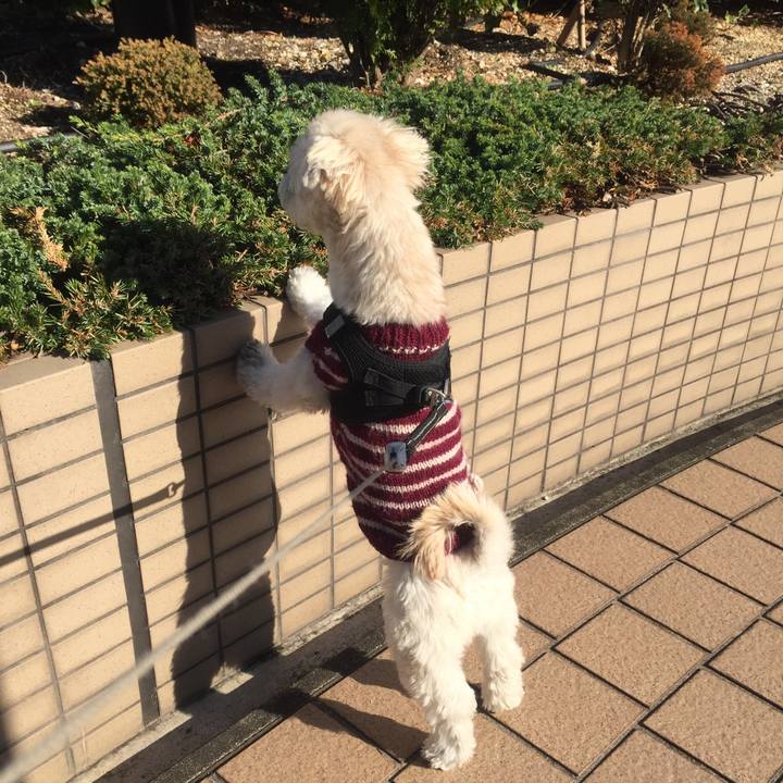 Be121658 5e44 4535 a617 cd7c762c0229 1512913600292