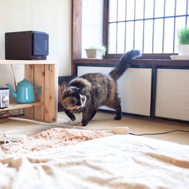 Be122a87 5c5f 44a0 b4b6 a251337d8216 1578458451464