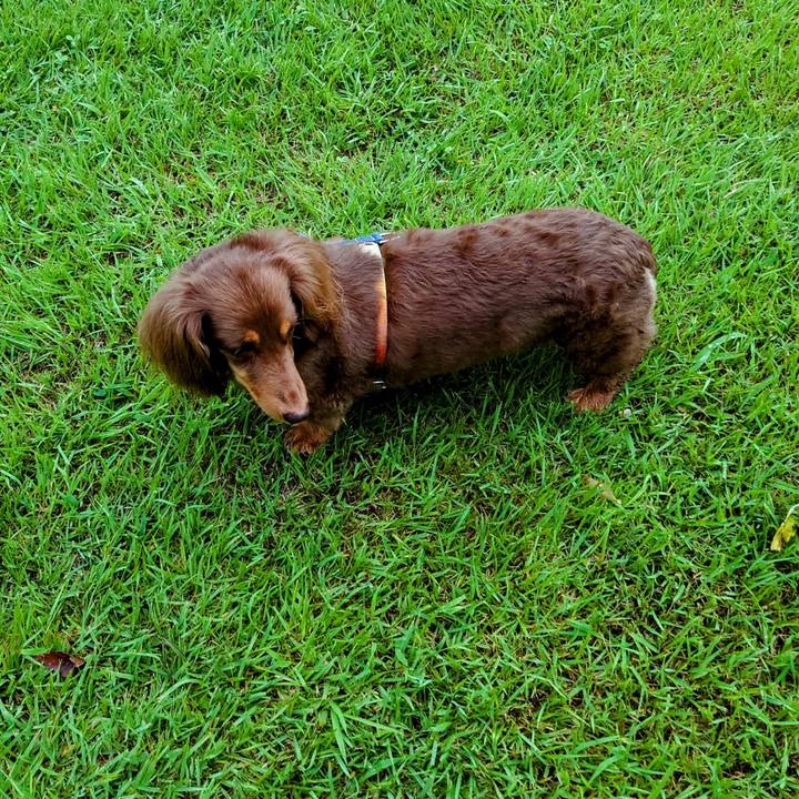 Be124737 9423 4025 a857 cefdf5ca579e 1725150463118