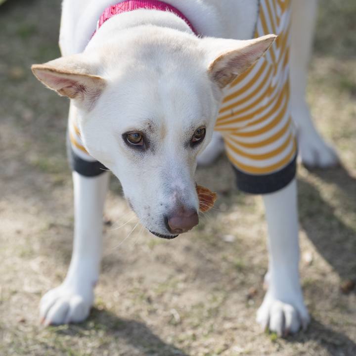 Be12484f cd02 4224 9e84 1f7bfcfe85da 1542558035856