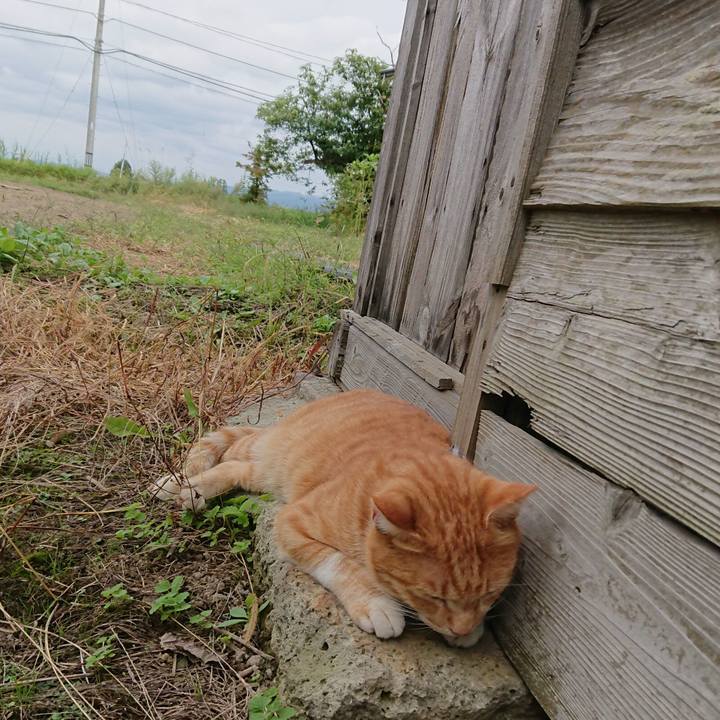 Be124af2 a021 4634 b129 9f8afe02e033 1569120751941