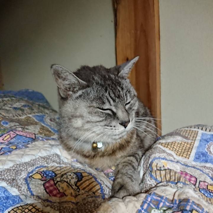 Be128a06 bdcf 4bef 832c 2974b80f5a73 1569748051079