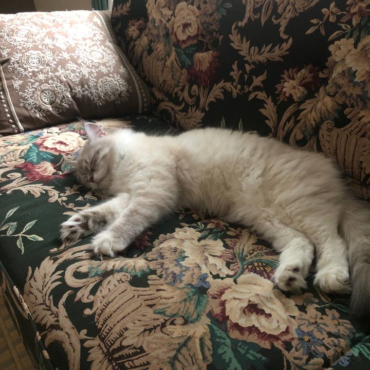 Be12bb14 00a5 440d b1d7 63e1ffe60d9f 1673757079344