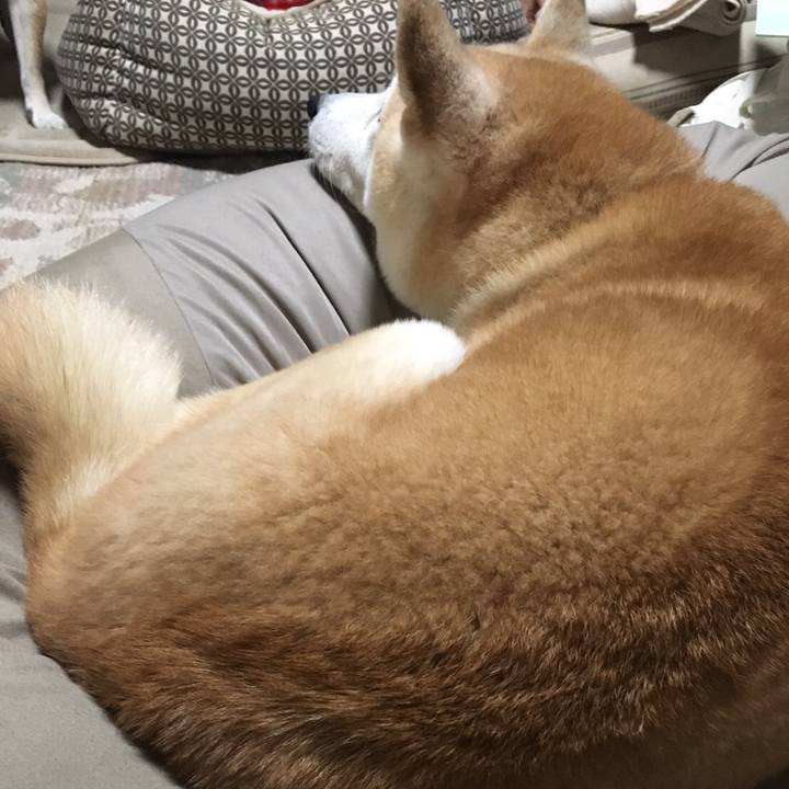 Be12e530 5eee 4fb9 a896 a29e57470930 1513205759249