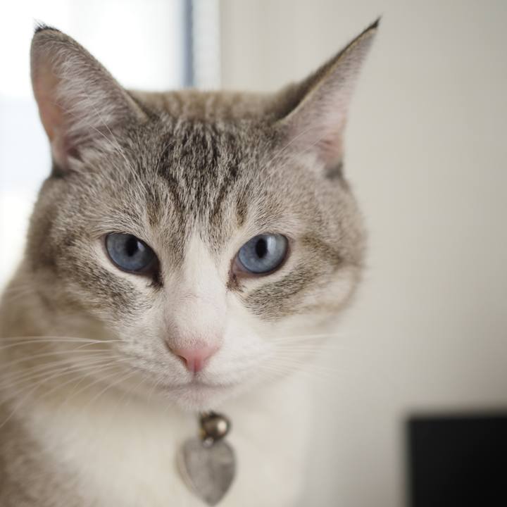 Be132909 f1e0 4e64 86df 2884ebf72a8c 1670333114954