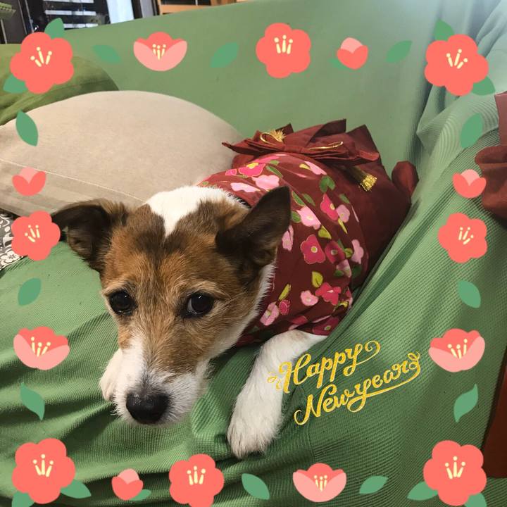 Be1361ef 9924 4767 a3e9 5f2b03fa3de6 1577886937198